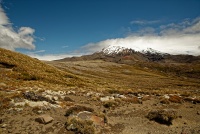 NZ Tongariro 1172